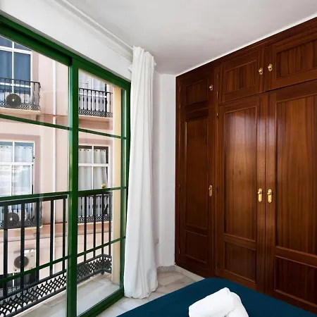 Apartment Rosaleda Center *